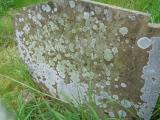 image of grave number 957957
